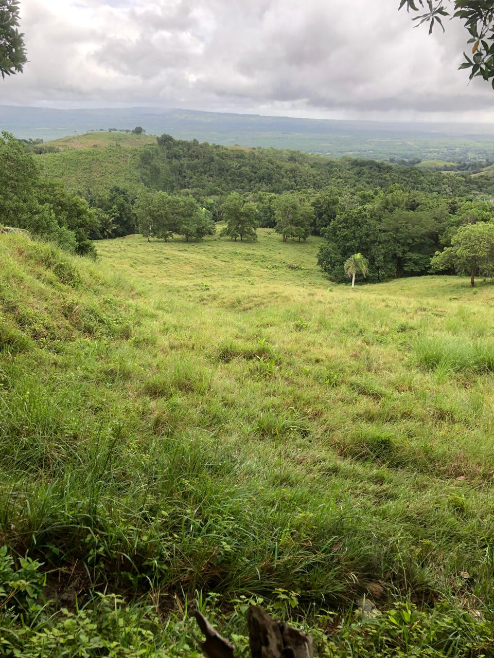 Cost of Buying Land in the Dominican Republic: Taxes & Fees